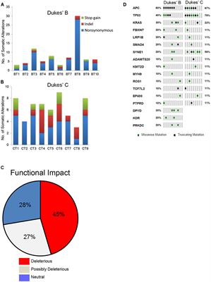 Molecular Characterization of Somatic Alterations in Dukes’ B and C Colorectal Cancers by Targeted Sequencing